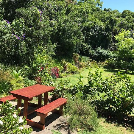 Loeriewood Garden Apartment, Hunters Home Knysna Exteriör bild