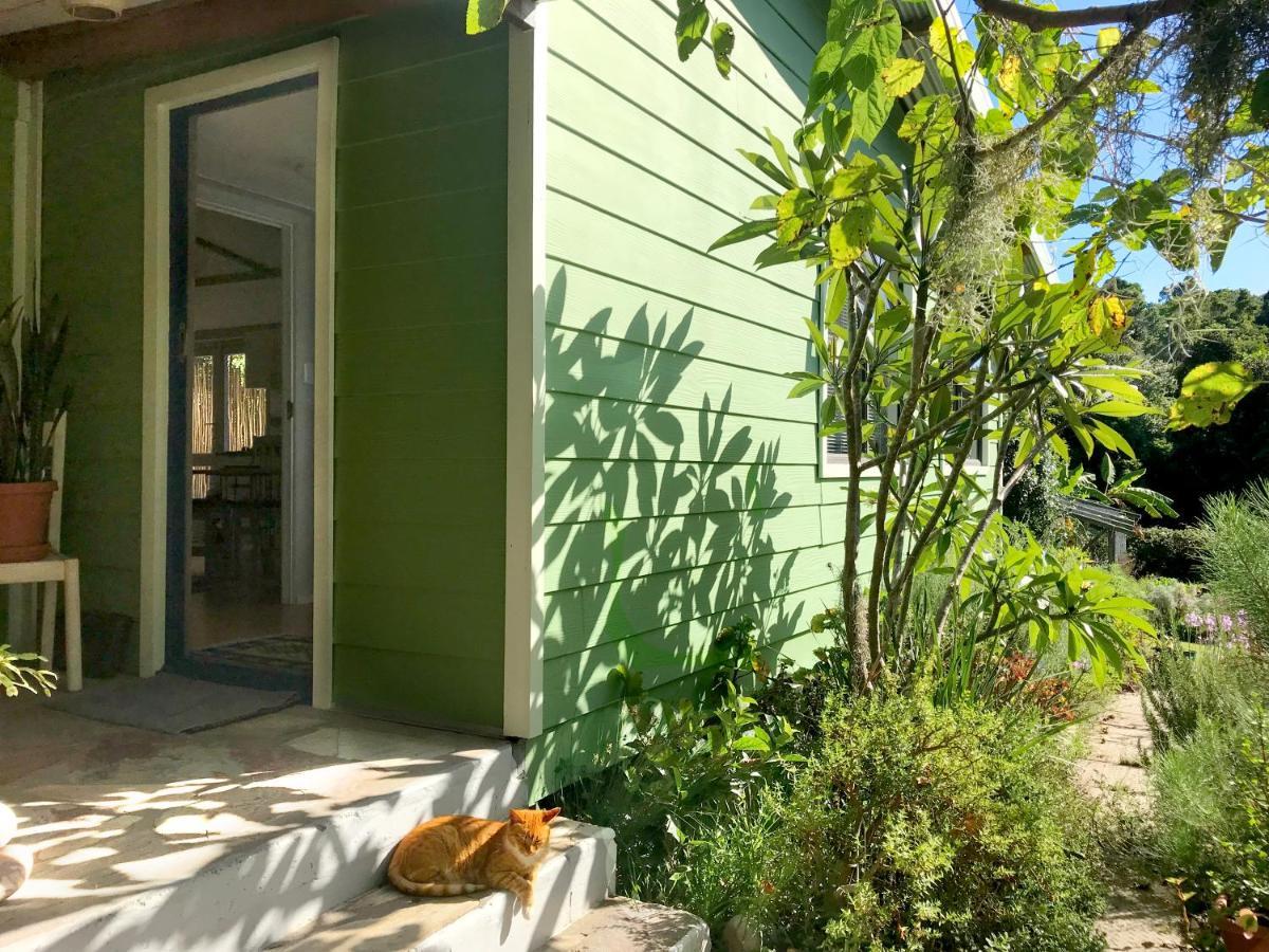 Loeriewood Garden Apartment, Hunters Home Knysna Exteriör bild